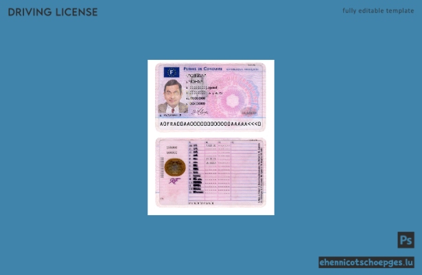 Beispiel für einen französischen Führerschein